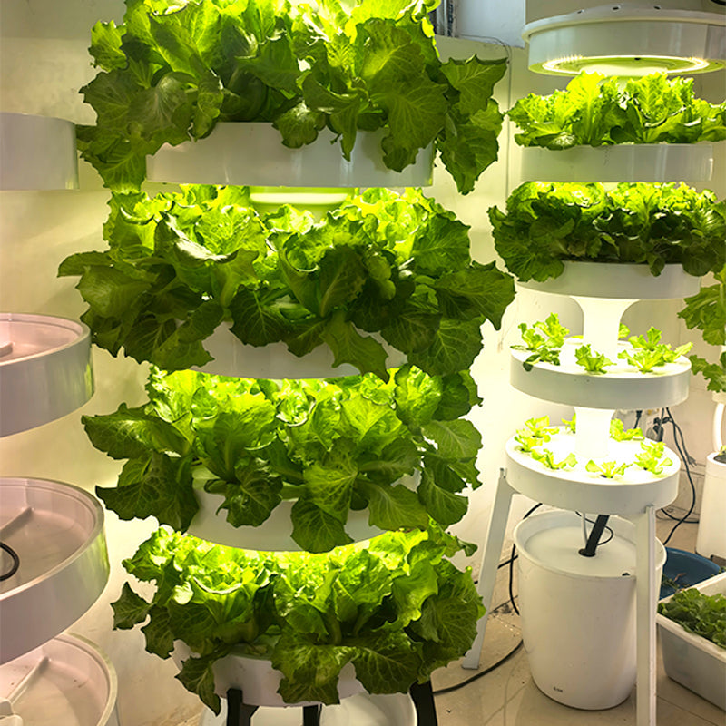 Circular multi-layer hydroponic vegetable planting system