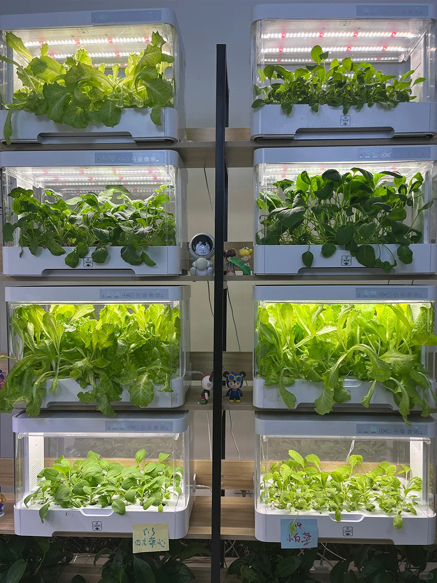 Grow Hydroponics Indoors – No Space Worries!