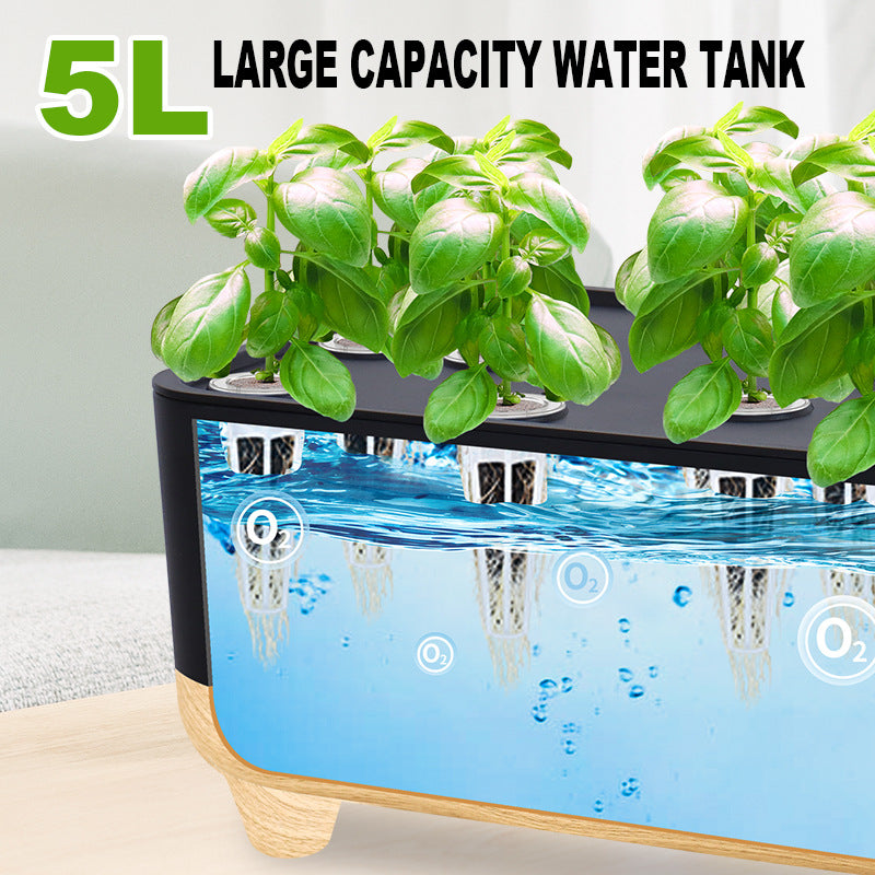 Desktop hydroponic system|intelligent regulation | 12 planting holes | open type