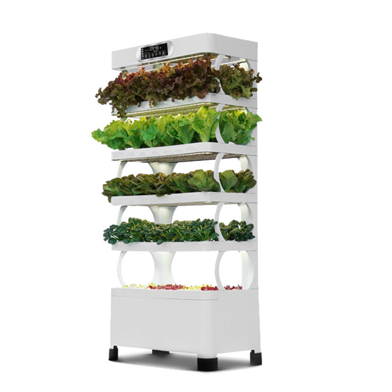 Each layer of the hydroponic system is planted with vegetables