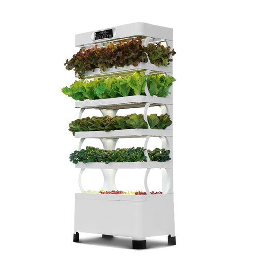 Each layer of the hydroponic system is planted with vegetables