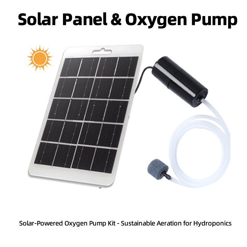 Simple Hydroponic System | Aquaponics | Transparent Design