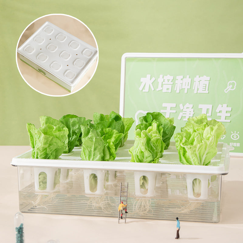 Hydroponic planting system | Simple hydroponics | Transparent | 9-hole | 12-hole