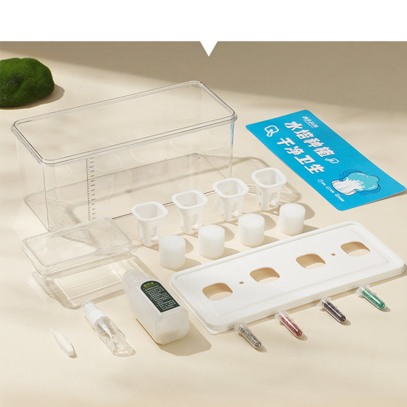 Simple Hydroponic System | Aquaponics | Transparent Design