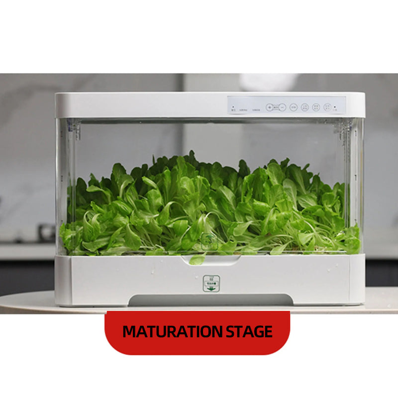 Smart indoor hydroponic garden | Equipped with LED growth lights | 30 planting spots
