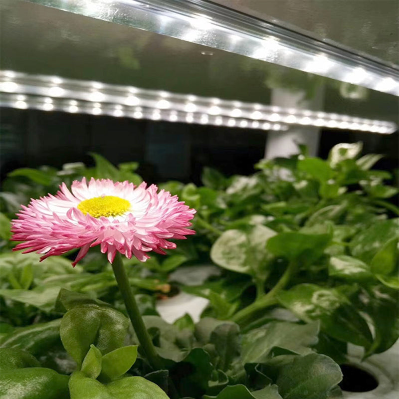 Intelligent hydroponic growth system | 5 vertical layers | With lighting and water pump