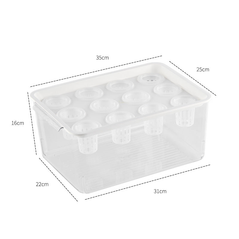Fish and vegetable symbiosis hydroponic box | Transparent appearance | Reusable