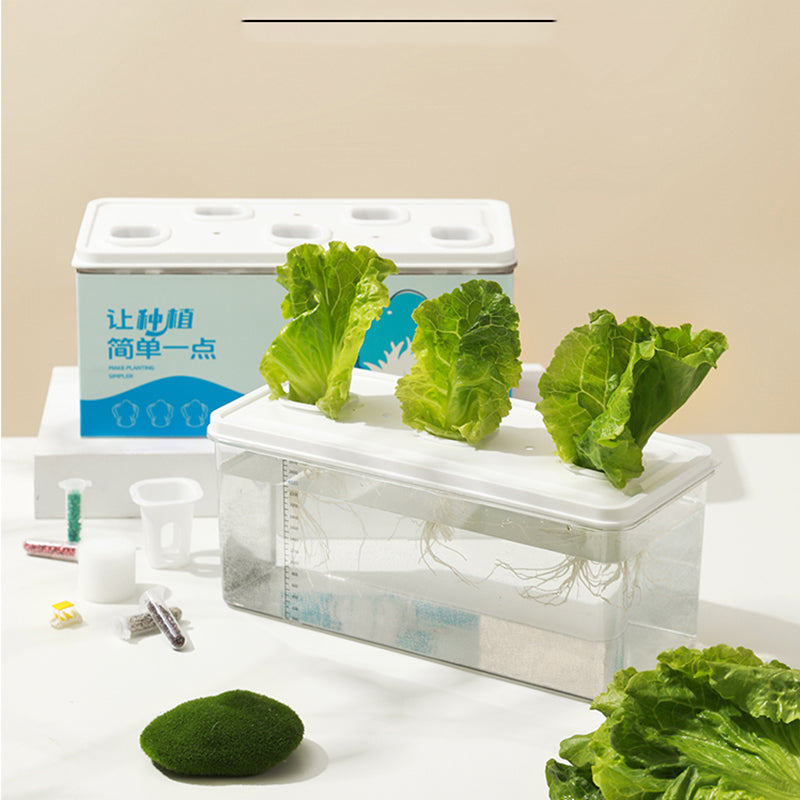 Simple Hydroponic System | Aquaponics | Transparent Design