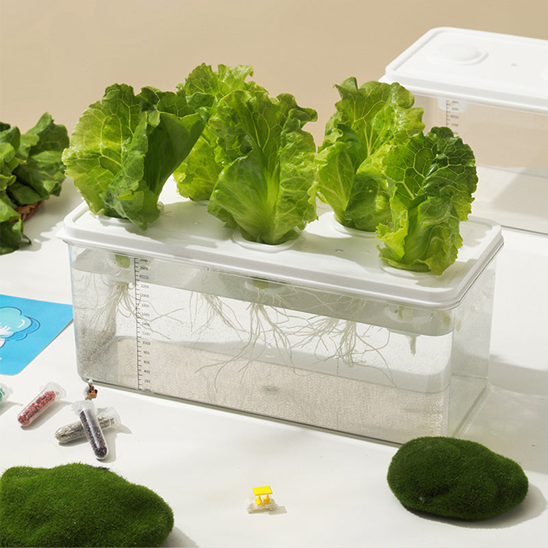 Simple Hydroponic System | Aquaponics | Transparent Design