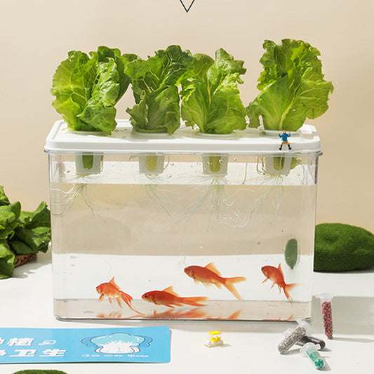 Simple Hydroponic System | Aquaponics | Transparent Design