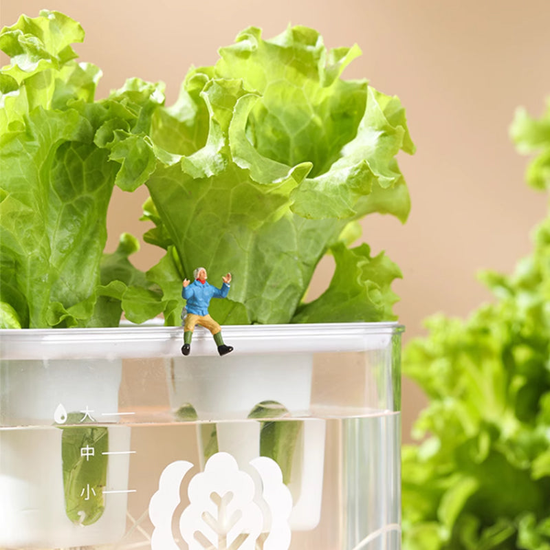Hydroponic planting box | Simple vegetable planting | Children's planting | Plant observation | 2-hole