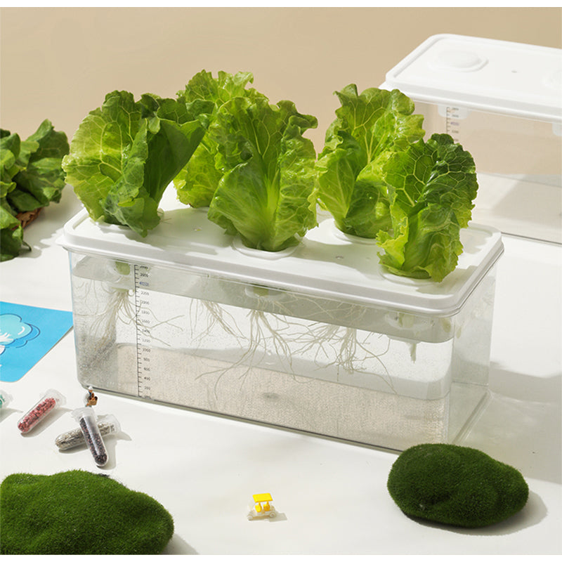 Simple Hydroponic System | Aquaponics | Transparent Design