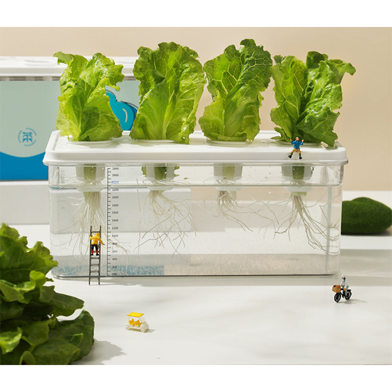 Simple Hydroponic System | Aquaponics | Transparent Design