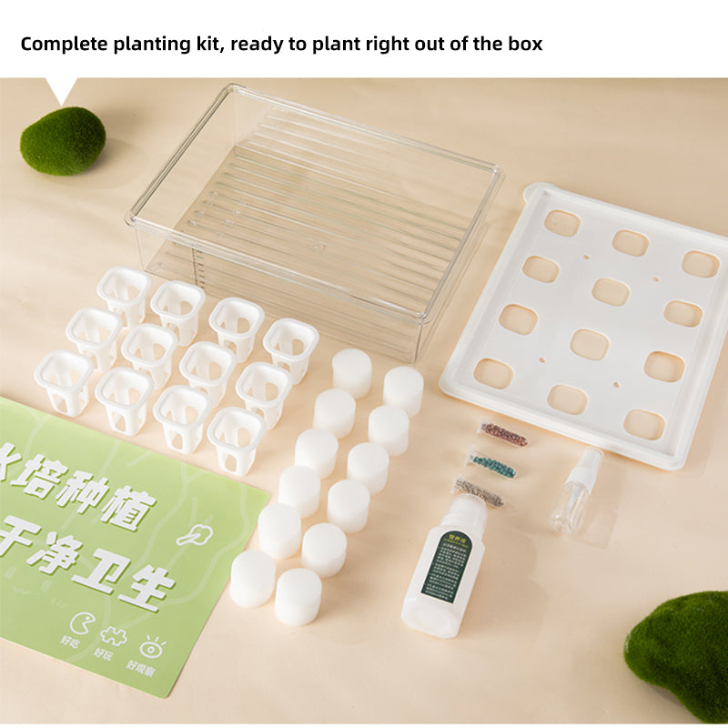 Hydroponic planting system | Simple hydroponics | Transparent | 9-hole | 12-hole