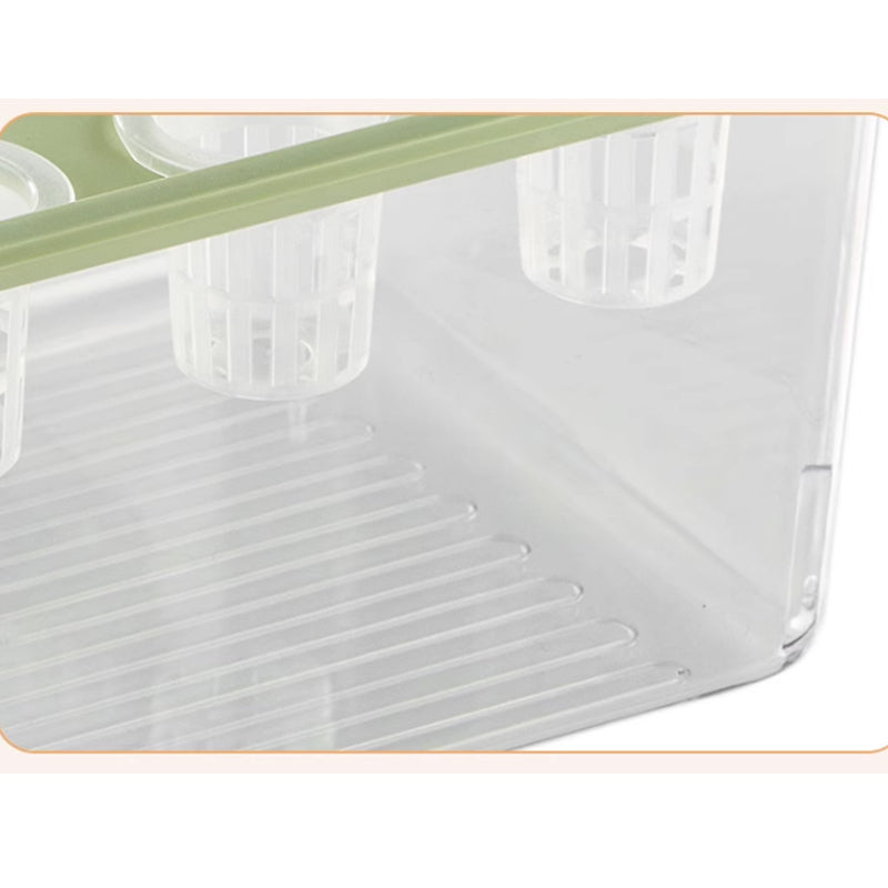 Fish and vegetable symbiosis hydroponic box | Transparent appearance | Reusable
