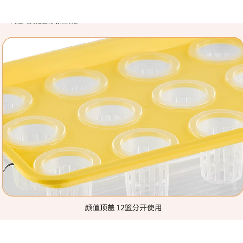 Fish and vegetable symbiosis hydroponic box | Transparent appearance | Reusable