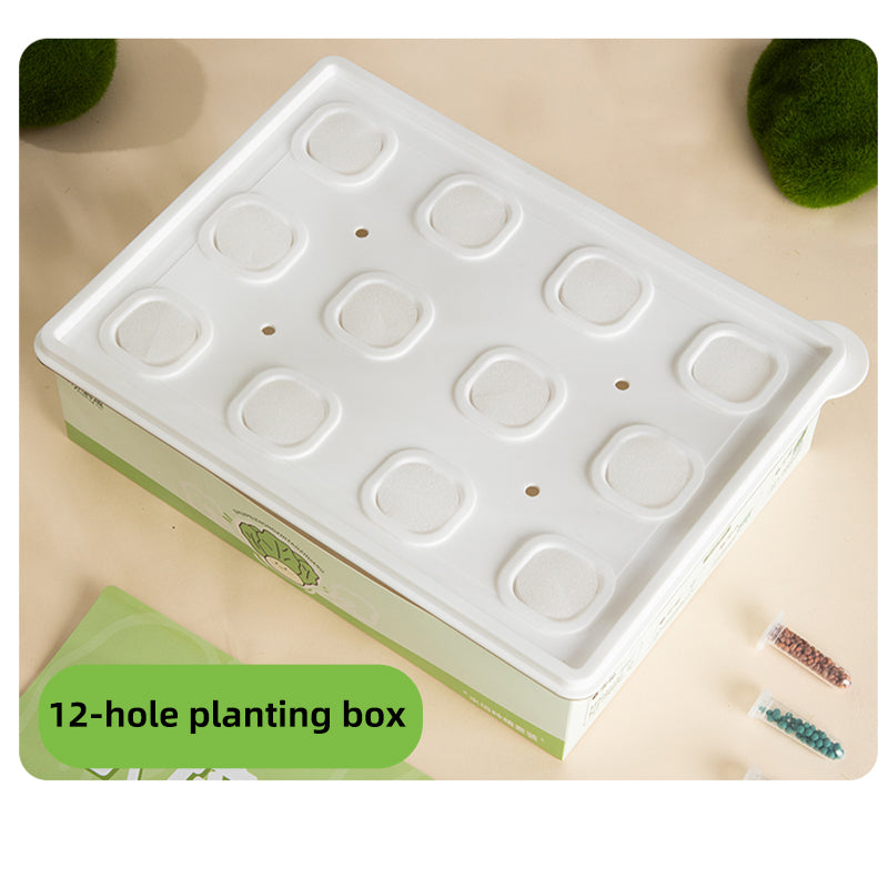 Hydroponic planting system | Simple hydroponics | Transparent | 9-hole | 12-hole