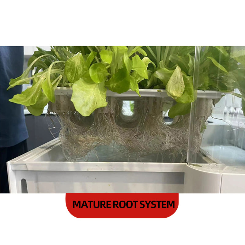 Smart indoor hydroponic garden | Equipped with LED growth lights | 30 planting spots