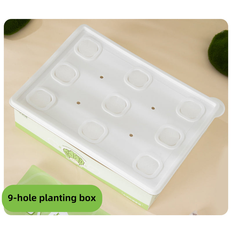 Hydroponic planting system | Simple hydroponics | Transparent | 9-hole | 12-hole