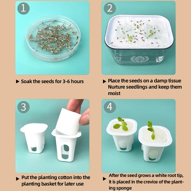 Planting steps