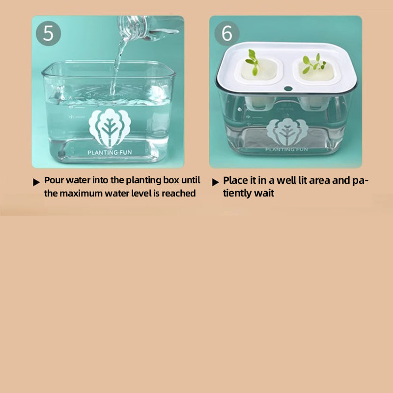 Planting steps