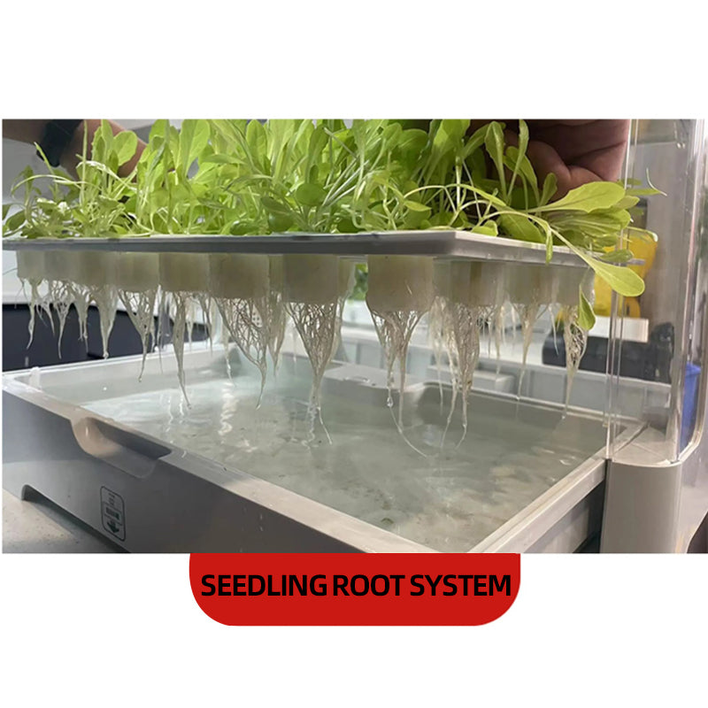 Smart indoor hydroponic garden | Equipped with LED growth lights | 30 planting spots