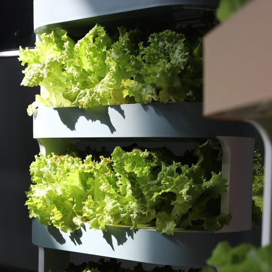 Beyond Soil: Grow Vegetables with Only Water! Discover the Intelligent Hydroponic Revolution