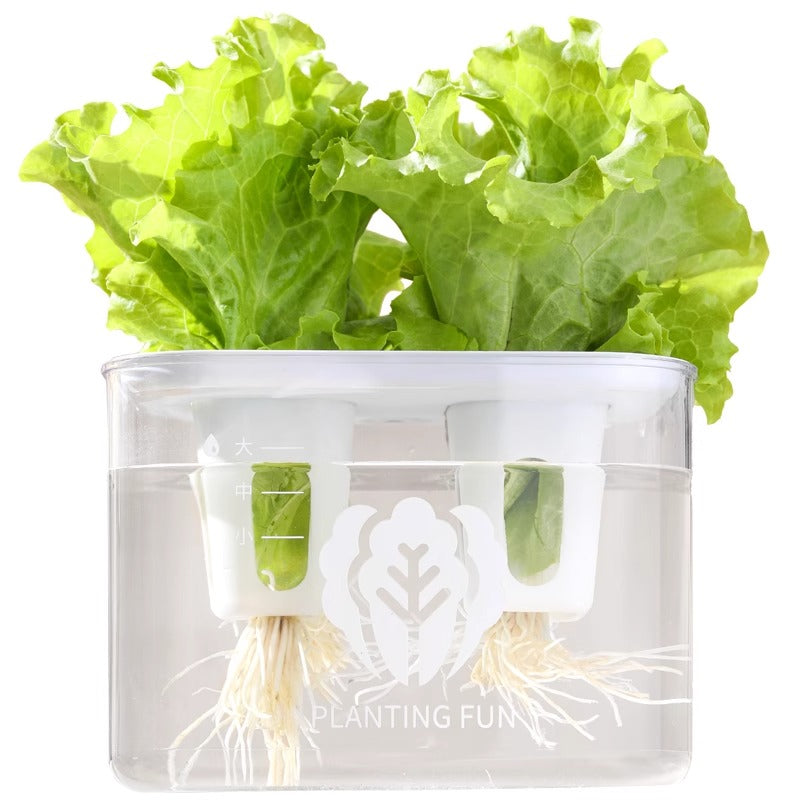 Hydroponic planting box