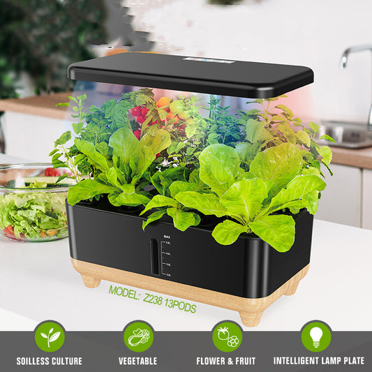 Desktop hydroponic system|intelligent regulation | 12 planting holes | open type