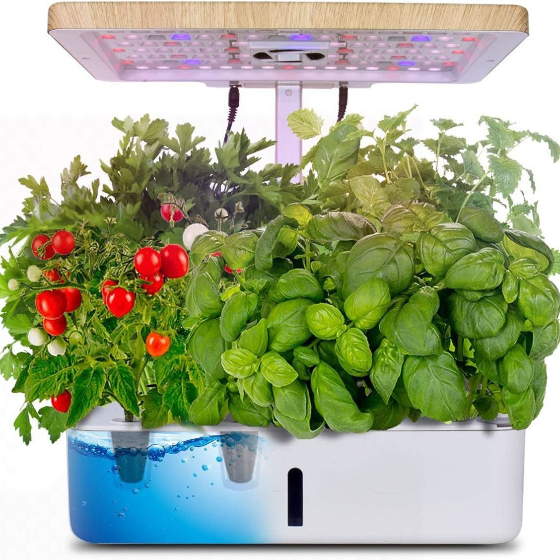 A hydroponic system with lights for growing vegetables