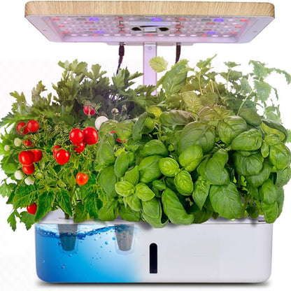 A hydroponic system with lights for growing vegetables