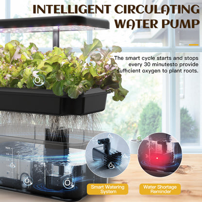 See-Through Desktop Hydroponic Garden | Smart Indoor Growing System with LED Lights