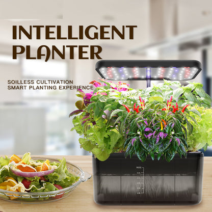 See-Through Desktop Hydroponic Garden | Smart Indoor Growing System with LED Lights