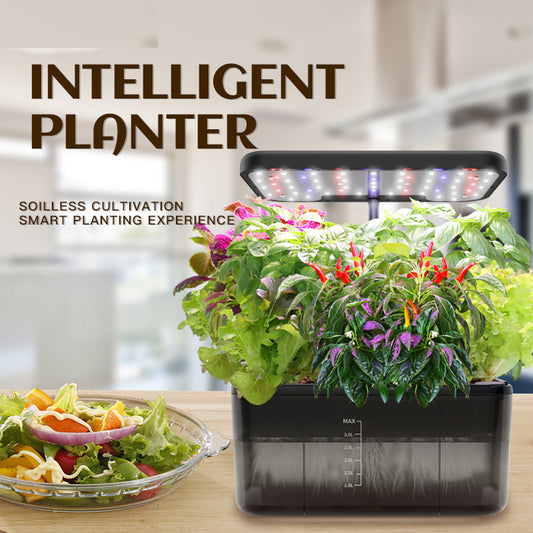 See-Through Desktop Hydroponic Garden | Smart Indoor Growing System with LED Lights