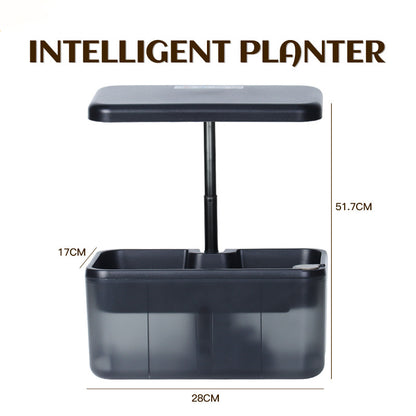 See-Through Desktop Hydroponic Garden | Smart Indoor Growing System with LED Lights