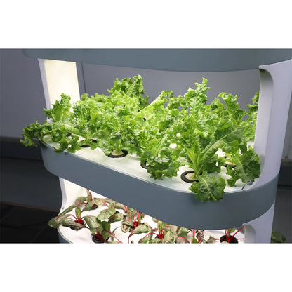 Smart Indoor Vertical Hydroponic Garden with LED Grow Light