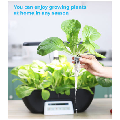 Smart Indoor Hydroponic Garden | Fully Automated Vegetable Growing System for Home Use | vvcultivate