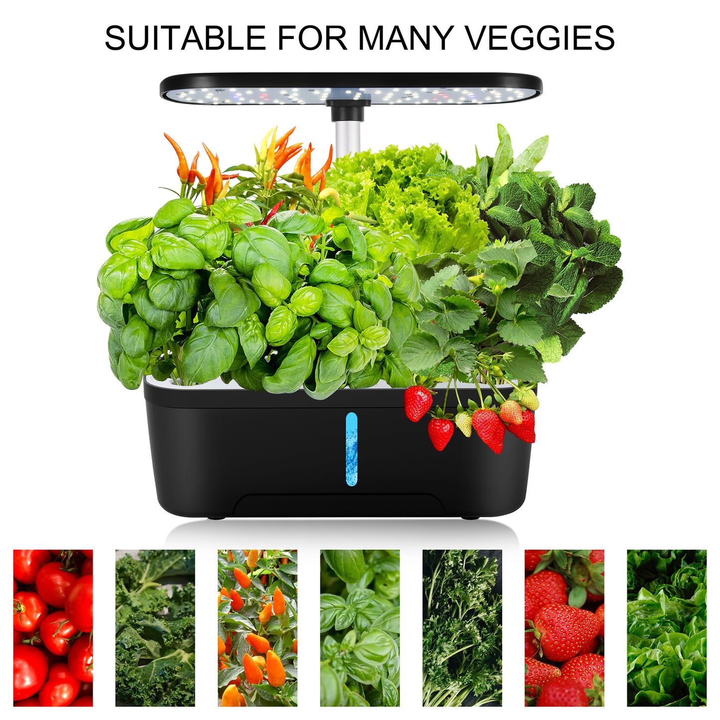 Smart Desktop Hydroponic System | 12 Pod Indoor Garden with LED Grow Light