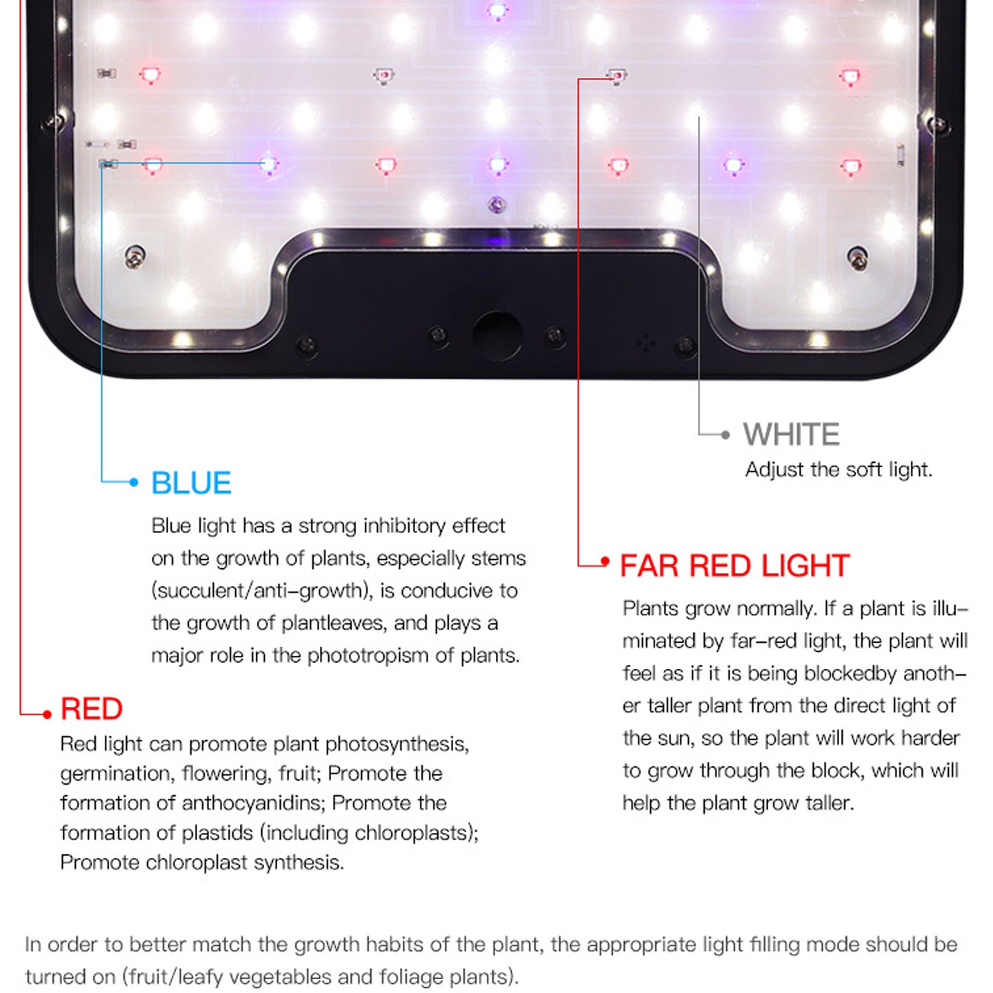 See-Through Desktop Hydroponic Garden | Smart Indoor Growing System with LED Lights