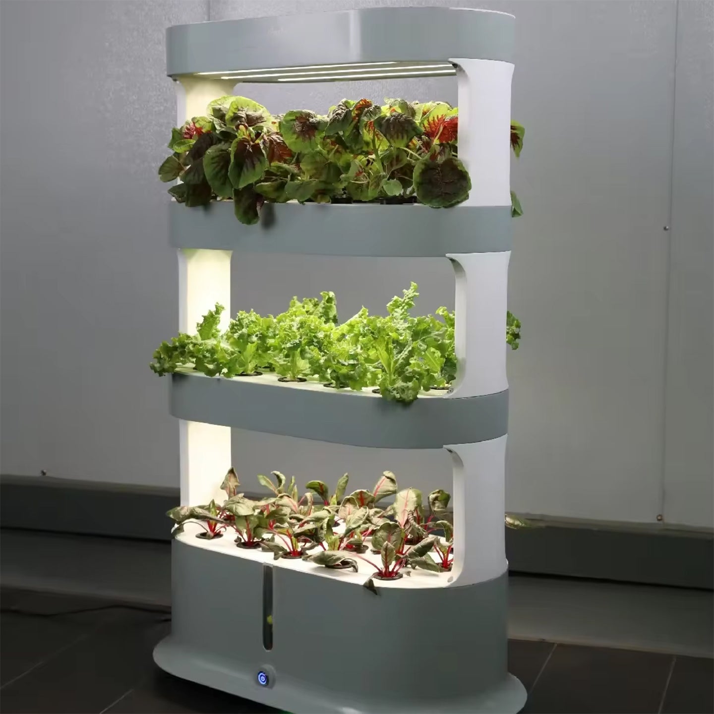 Smart Indoor Vertical Hydroponic Garden with LED Grow Light