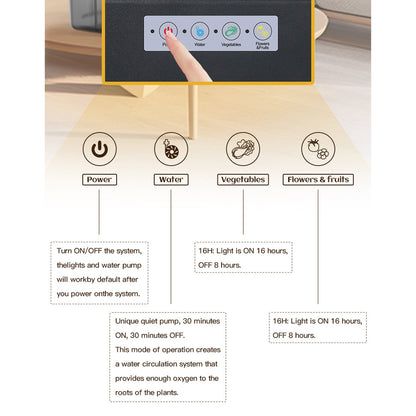See-Through Desktop Hydroponic Garden | Smart Indoor Growing System with LED Lights