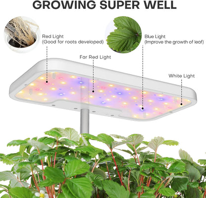 Smart hydroponic planting machine | Home planting | Full-spectrum light supplement lamp | 8 holes