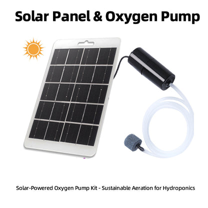 Simple Hydroponic System | Aquaponics | Transparent Design