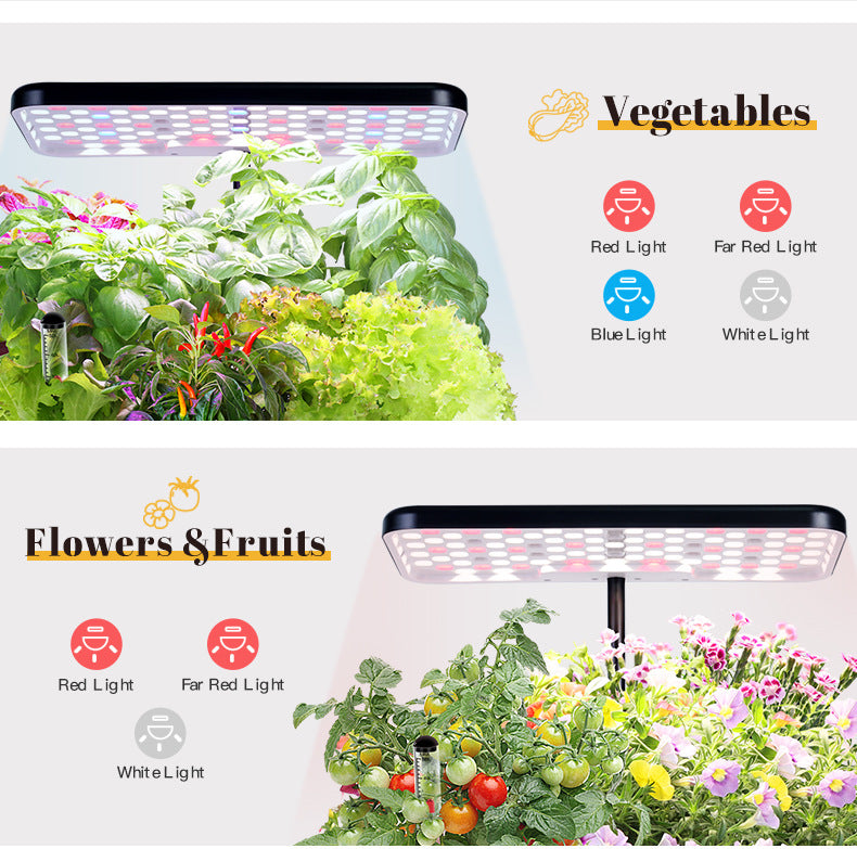 Lighting display of hydroponic system