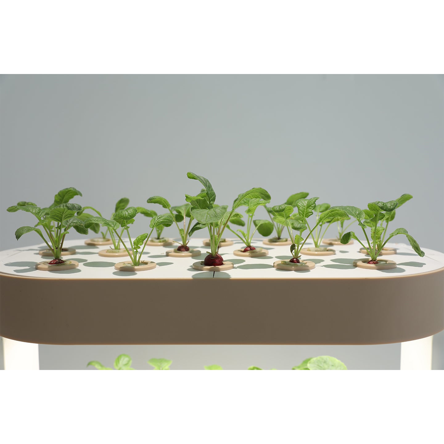 Smart Indoor Vertical Hydroponic Garden with LED Grow Light