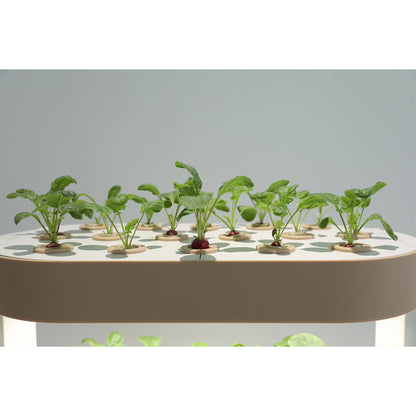 Smart Indoor Vertical Hydroponic Garden with LED Grow Light