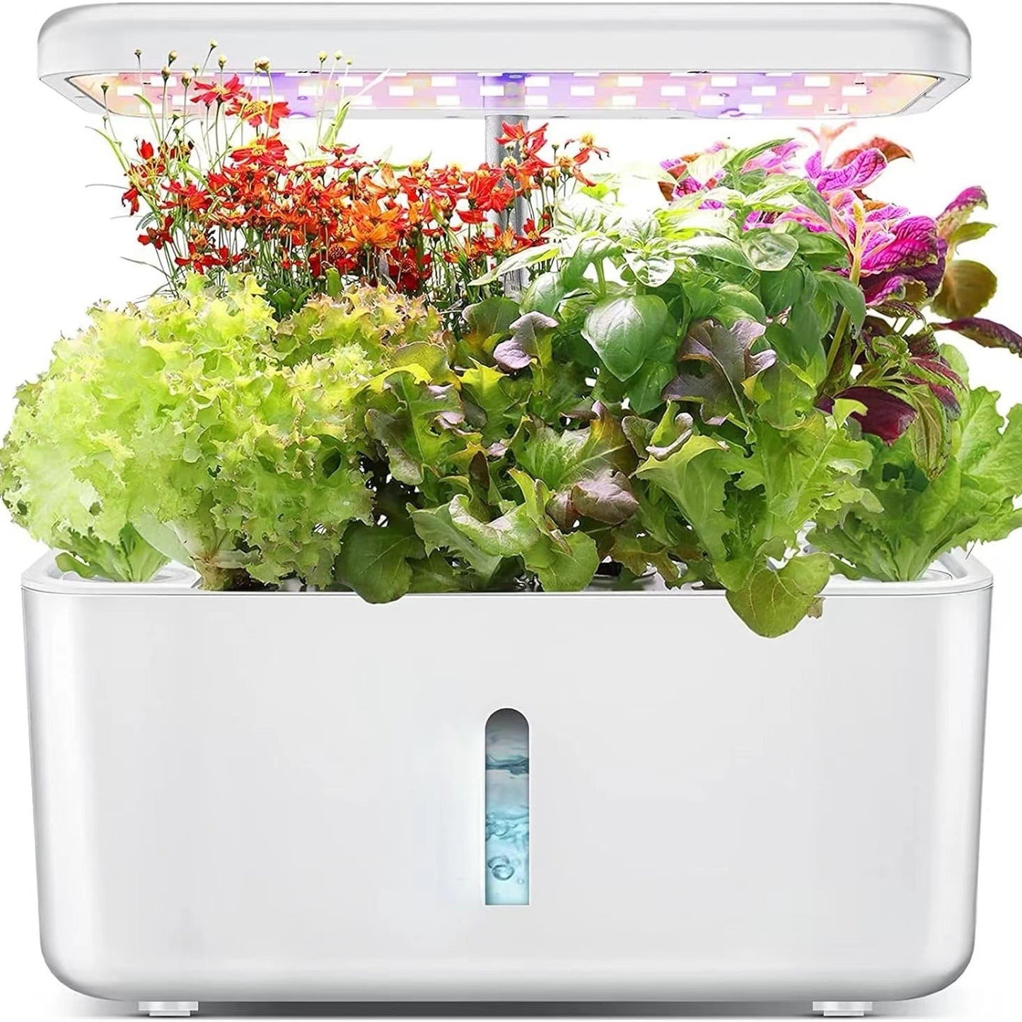 Smart hydroponic planting machine | Home planting | Full-spectrum light supplement lamp | 8 holes