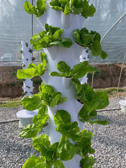9-Tier Hydroponic System - Vertical Herb Garden for Indoor Planting