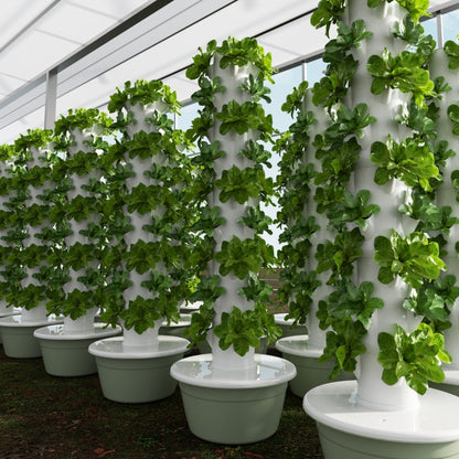 9-Tier Hydroponic System - Vertical Herb Garden for Indoor Planting