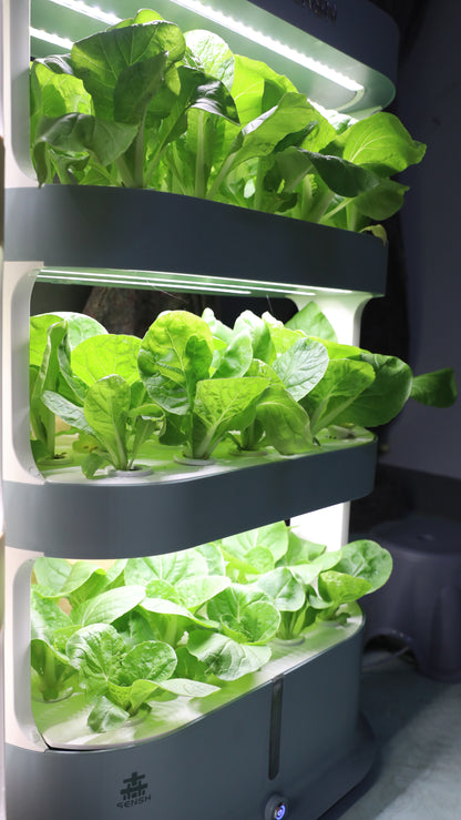 Smart Hydroponic Grow System | Multi-Layer Design | Auto Water Cycle | Built-in LED Lights | vvcultivate